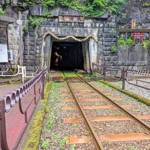 PXL_20240602_065110374