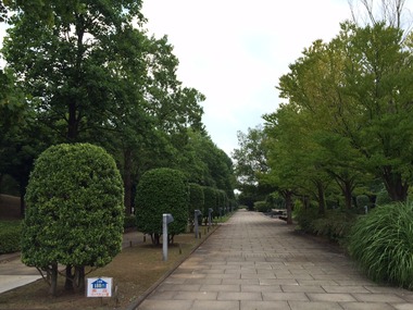 !cid_0AE1D297-2E3F-42C6-B98F-4A5975D93660