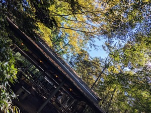 PXL_20231016_001426369