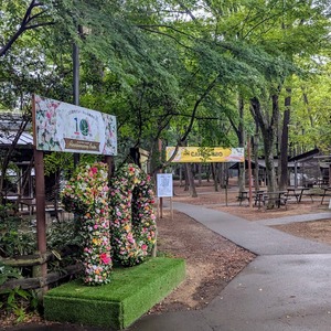 PXL_20240927_061638156