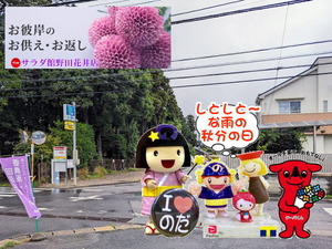 PXL_20230920_000515179