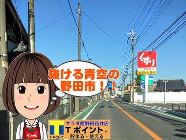 野田市あおぞら