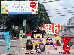 PXL_20231026_235923956