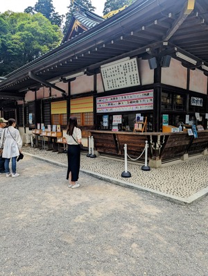 PXL_20240519_031109367~2