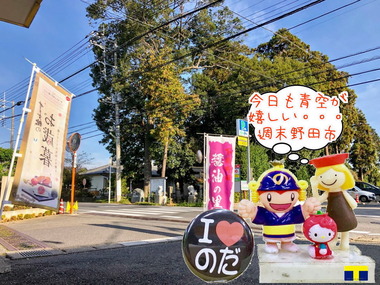 シャディサラダ館が野田市に