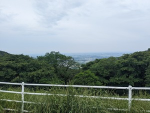 PXL_20240519_044037826