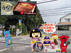 PXL_20230610_001145043