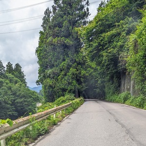 PXL_20240602_012522988