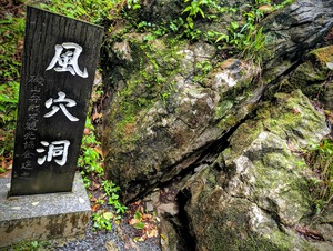 PXL_20250810_042926983~2