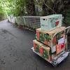 BBQのお酒配達2026夏