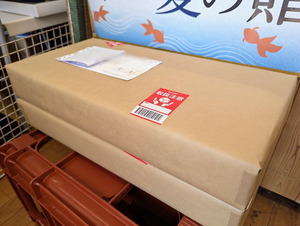 PXL_20250803_024706315