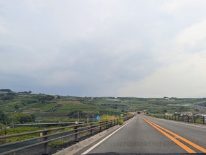 PXL_20250825_070158055~2