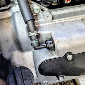 PXL_20250830_021259219~2