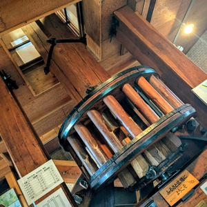 PXL_20251005_044413001~2