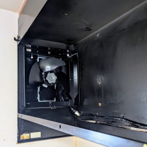 PXL_20250330_003736012~2