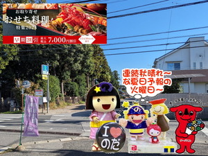 PXL_20230920_000515179