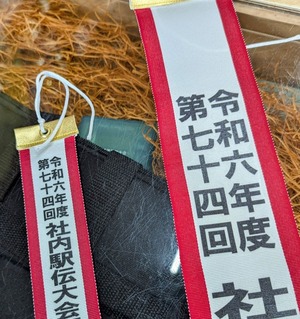 PXL_20241216_031654726.PORTRAIT (1)