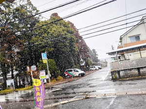 IMG_20250319_092754-EDIT