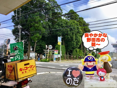 さわやか野田市20170215