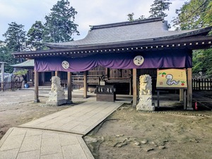 PXL_20250914_081101136~2