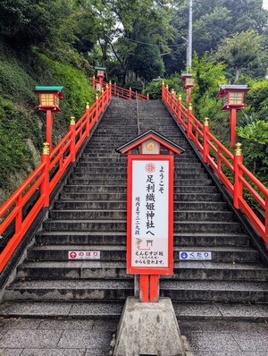 PXL_20240714_050411741