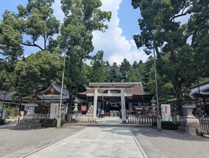 PXL_20250825_022918869