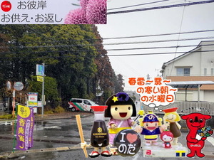 PXL_20240929_234446616