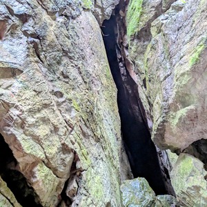 PXL_20250810_044201797~2