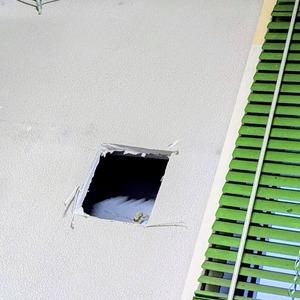 PXL_20250722_100833099~2