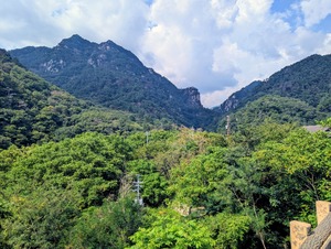 PXL_20250825_044334224~2