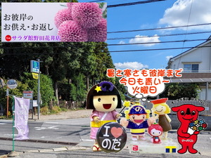 PXL_20230906_000642727