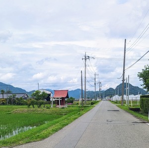 PXL_20240602_011350432