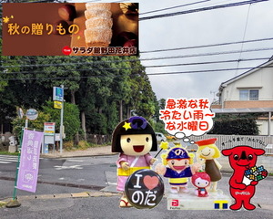 PXL_20230920_000515179