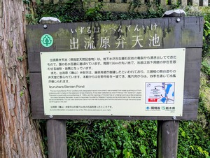 PXL_20250810_045629310~2