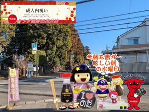 野田パワスポ|青が眩しい水曜日の店頭の様子