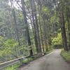 久々の林道～202509