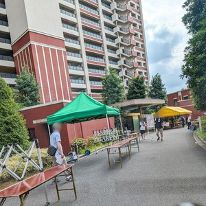 マンション自治会の納涼祭2026