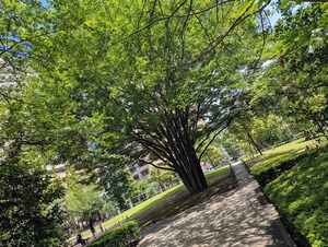 PXL_20250803_024632654~2