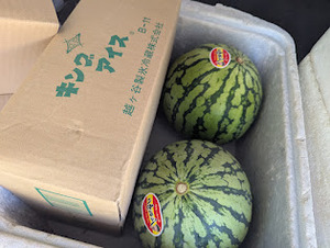 PXL_20250824_031202064