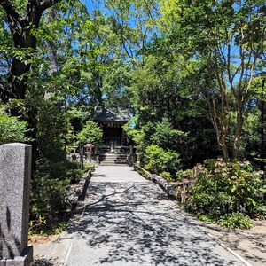 PXL_20230730_022033806