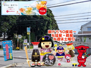 PXL_20231026_235923956