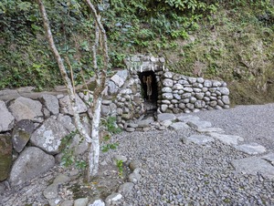 PXL_20231022_050922359