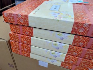 PXL_20250629_105017808.PORTRAIT