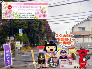 PXL_20240929_234446616