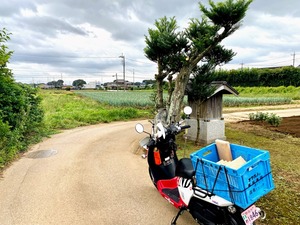 野田市配達の旅