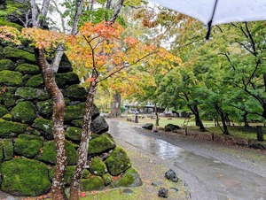 PXL_20251026_014844971~2