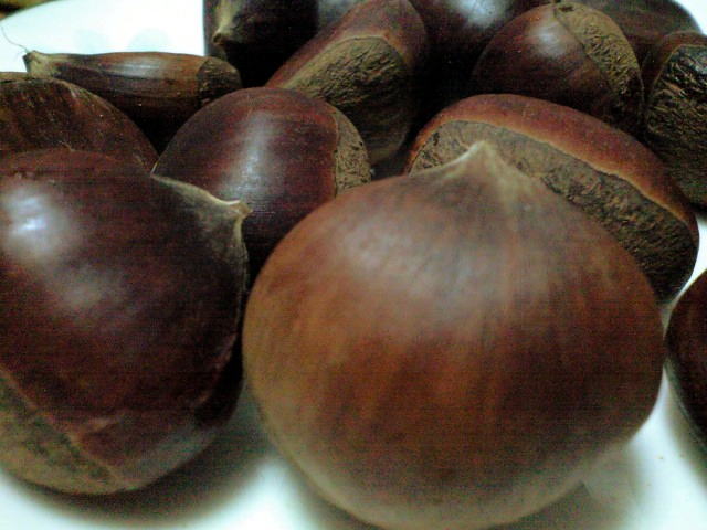 筑波山のお土産に大きな甘栗が美味しかったぜ
