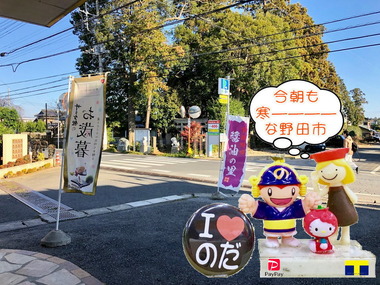 今朝も寒ーーーーな野田市