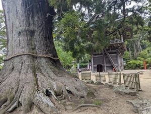 PXL_20240519_031659202