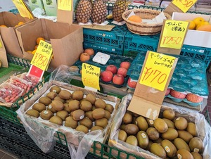 PXL_20240612_032323854